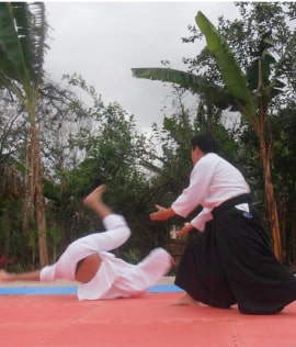 aikido nague zawa 1